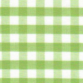 1/4' Gingham - Sprout